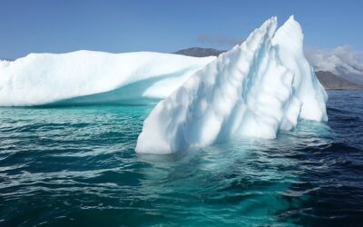 Ispitivanje javnog mnijenja o klimatskim promjenama